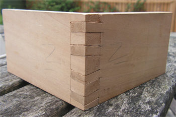 Twisted Dovetail
