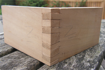 Twisted Dovetail