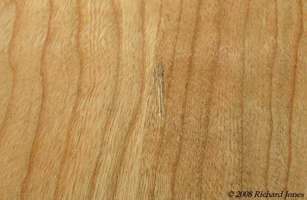 17TornGrain-2.jpg