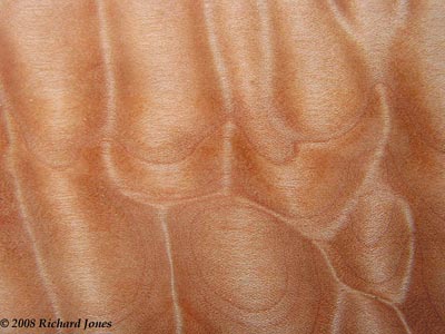 109-Quilted-Maple.jpg